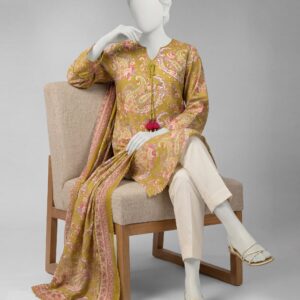 MULTICOLOR LAWN 2PC UNSTITCHED | JDS-S-26-1343 KASHMIRI-1